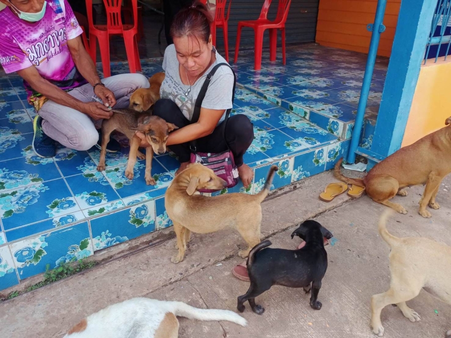 โครงการฉีดวัคซีนป้องกันโรคพิษสุนัขบ้าและสำรวจจำนวนประชากรสุนัขและแมว ประจำปีงบประมาณ 2566 องค์การบริหารส่วนตำบลยาง อำเภอน้ำยืน จังหวัดอุบลราชธานี